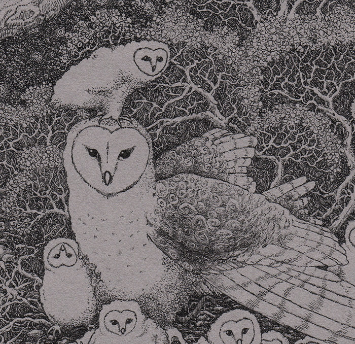 puffy_owls_detail